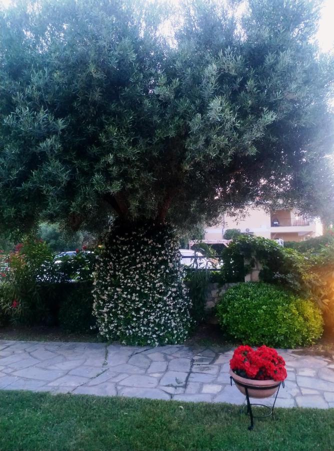 Studios Galanis Afytos Exterior photo